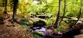 pano paysage 7_10_11n01bis